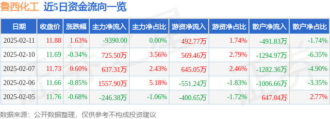 股票行情快报：鲁西化工（000830）2月11日主力资金净卖出9390.00元