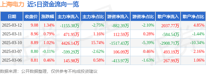 股票行情快报：上海电力（600021）3月12日主力资金净卖出1155.38万元
