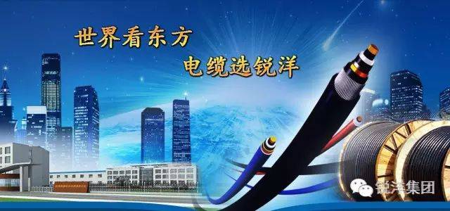 辽宁沈鹏电力科技有限公司亮相 2024 上海国际电力电工展