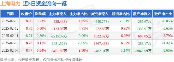 股票行情快报：上海电力（600021）2月13日主力资金净买入628.44万元
