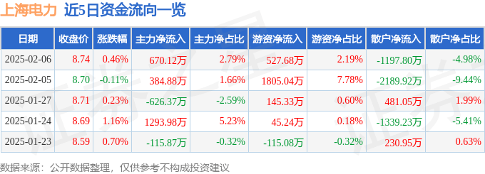 股票行情快报：上海电力（600021）2月6日主力资金净买入670.12万元