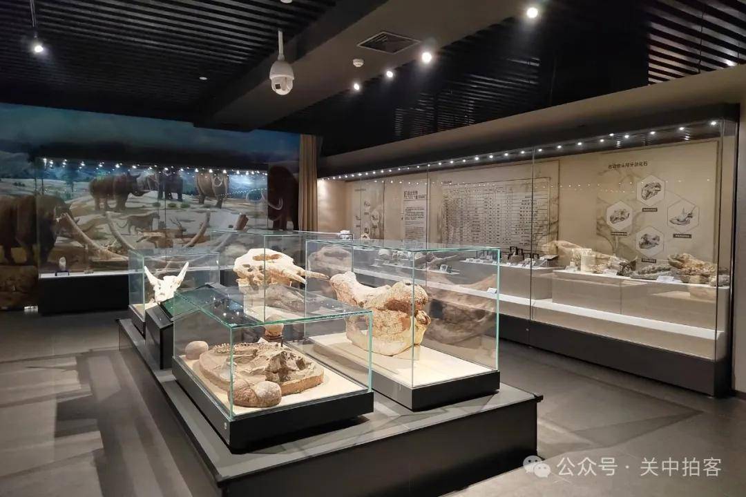 西京医院：参观国际口腔医学博物馆