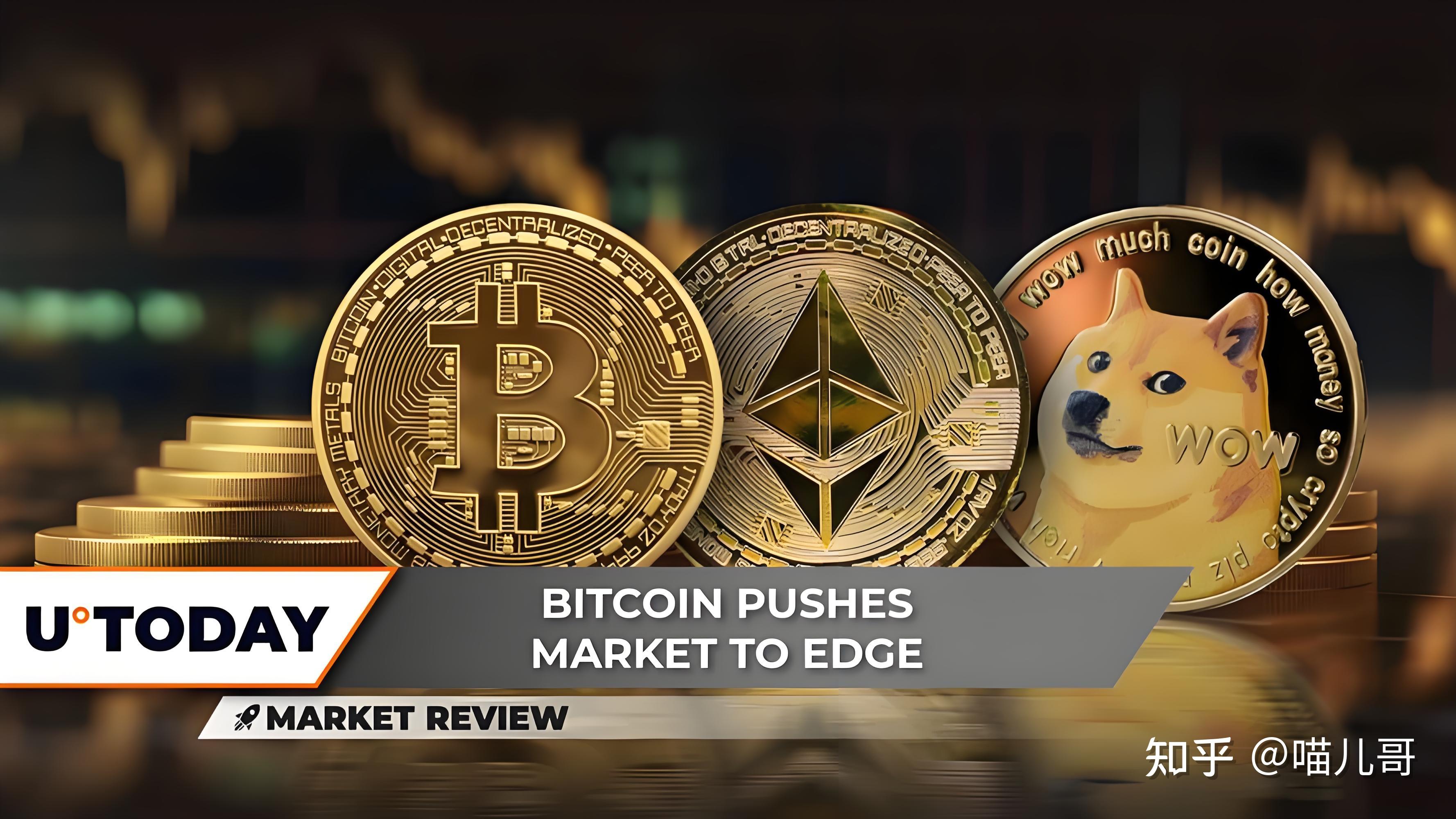 包含币夫交易平台的词条