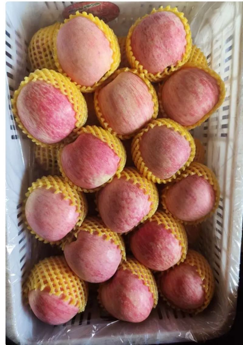 苹果现货(苹果现货几点刷新)