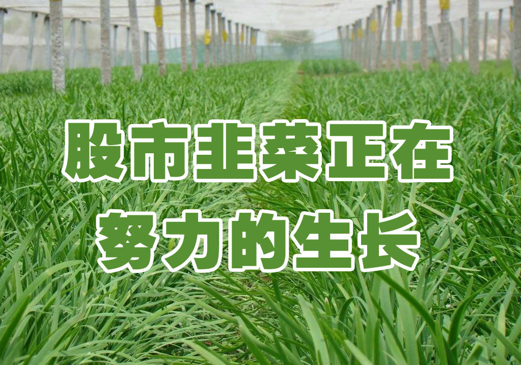 股票绿色(股票绿色是买还是卖)